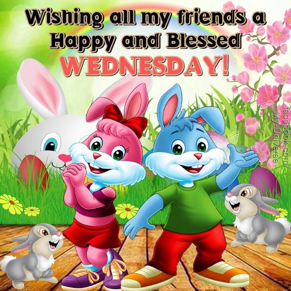 HAPPY WEDNEDAY - Picture 6 of 8